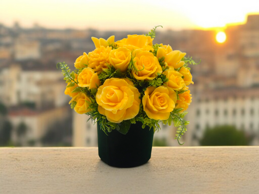 Sunlit Yellow Barcelona Dreams